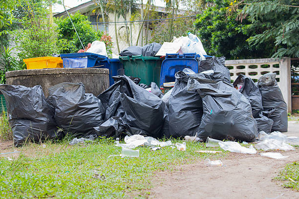 Best Office Junk Removal  in Bee Ridge, FL